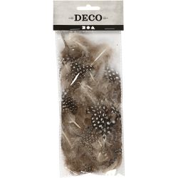 Guinea fowl feathers